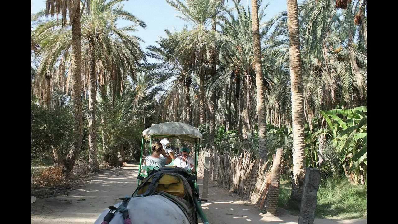 Dar Ezzahra Villa Tozeur Exterior foto